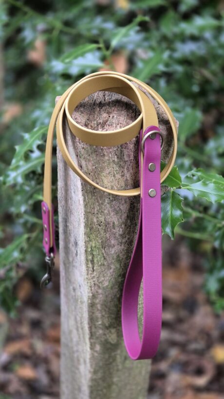 Winterberry Gold 1.2m Lead