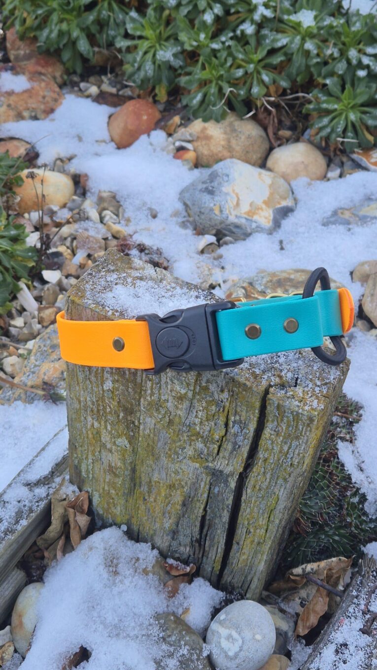 biothane bungee strap