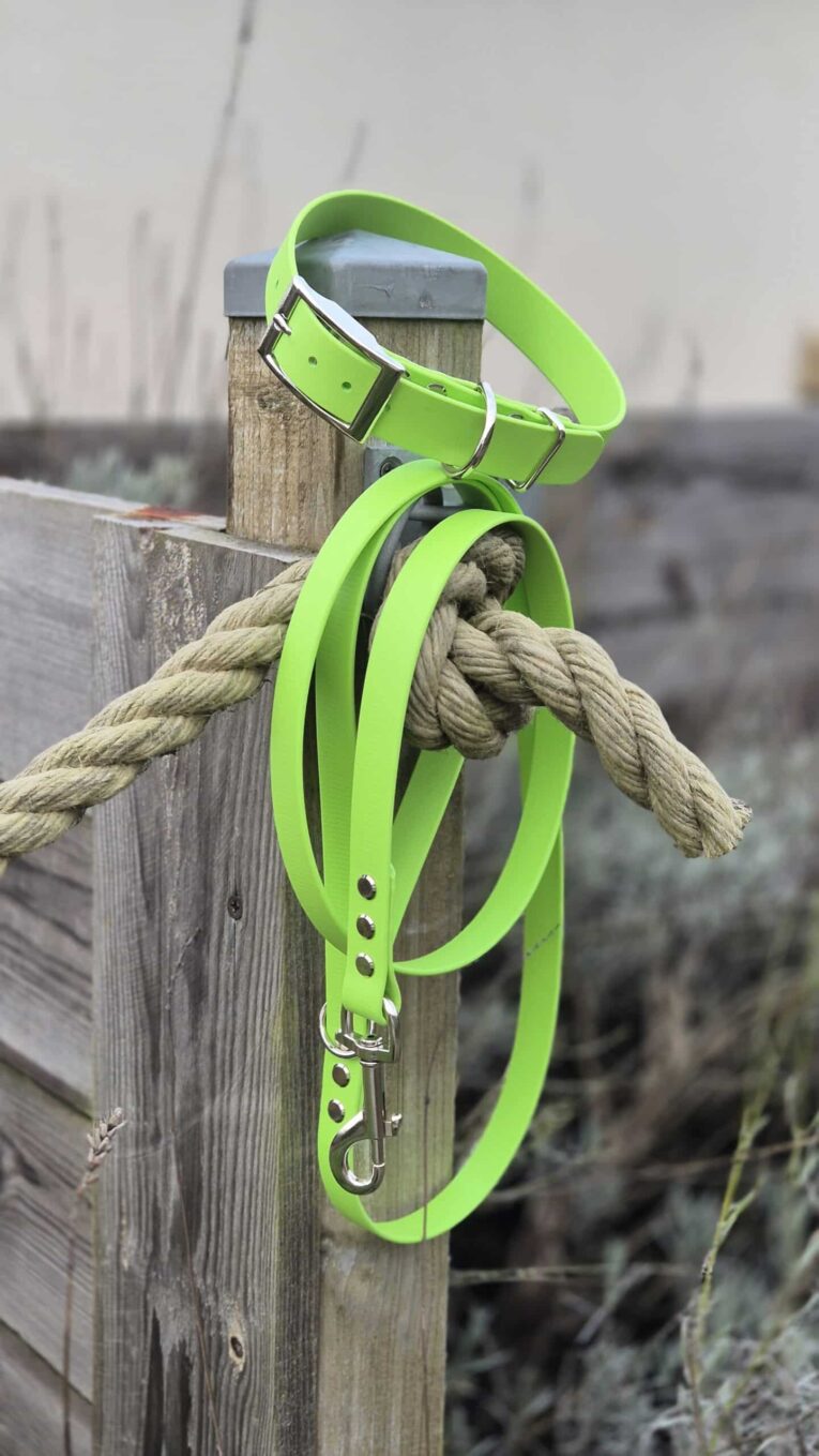 Bright lime green BioThane dog collar and lead with rope attachment, displayed on weathered wooden post.