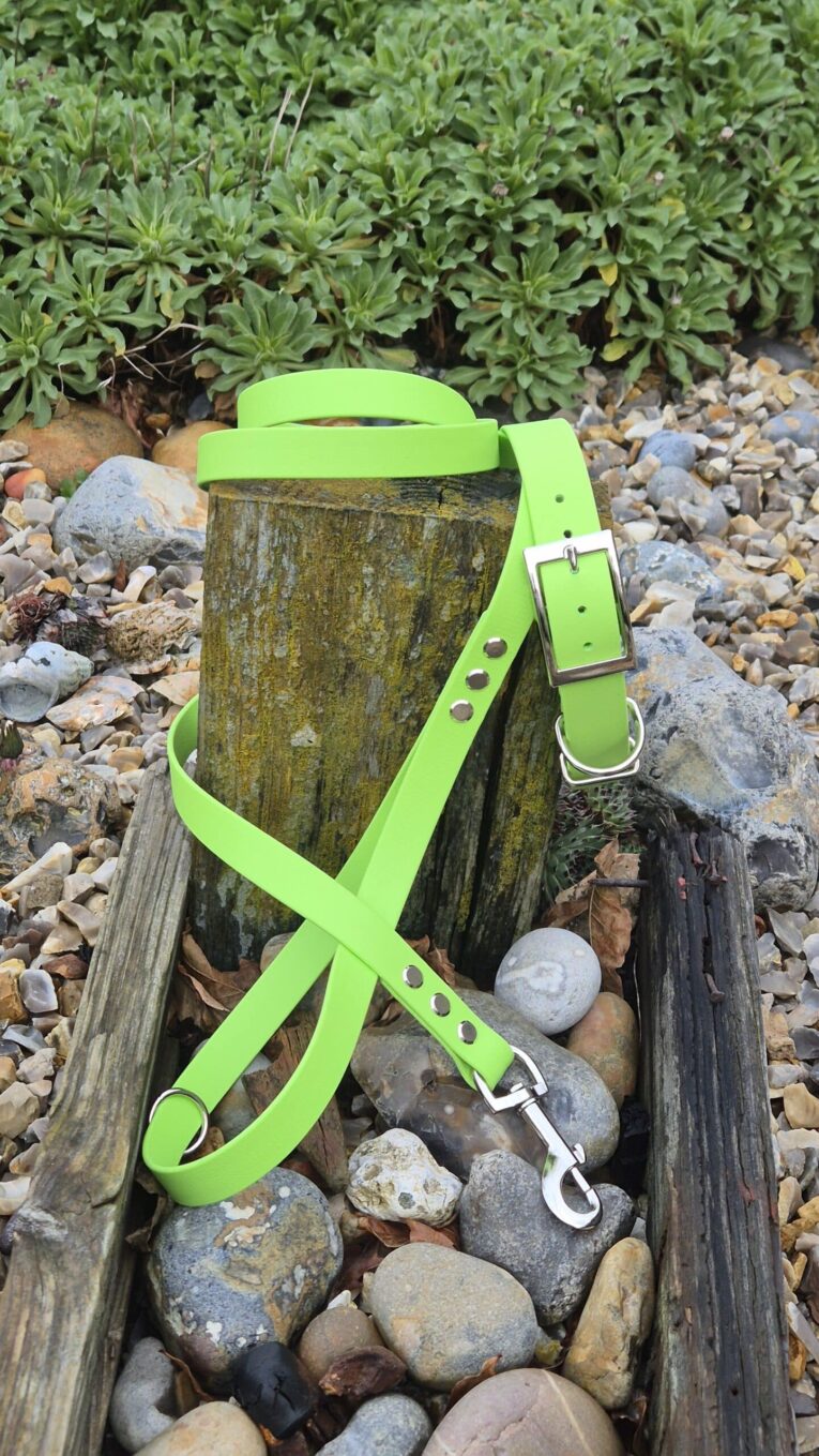 Bright lime green BioThane dog collar and lead set with metal fittings displayed on weathered wood.