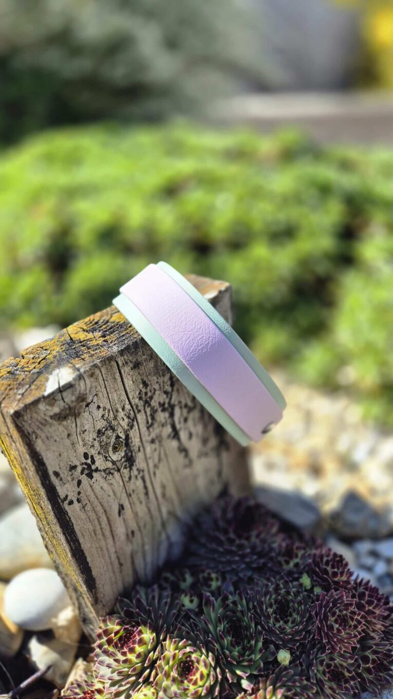 Pastel purple and mint BioThane double layered hound collar displayed on weathered wood in a garden setting.