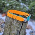 Bright orange and turquoise BioThane dog collar with metal buckle displayed on weathered wooden post.