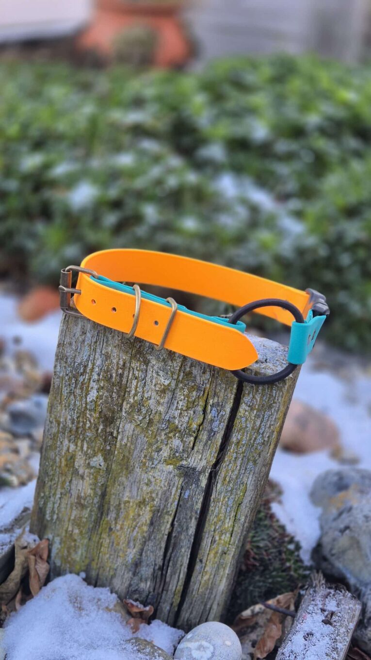 Bright orange and turquoise BioThane dog collar with metal buckle displayed on weathered wooden post.