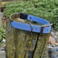 Two handmade BioThane dog collars in blue and sage green, displayed on a weathered wooden post outdoors.