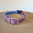 Purple and blue handmade BioThane dog collar with metal buckle on wooden surface.