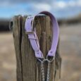 Lavender BioThane half check collar with metal hardware, draped over weathered wooden post by beach.