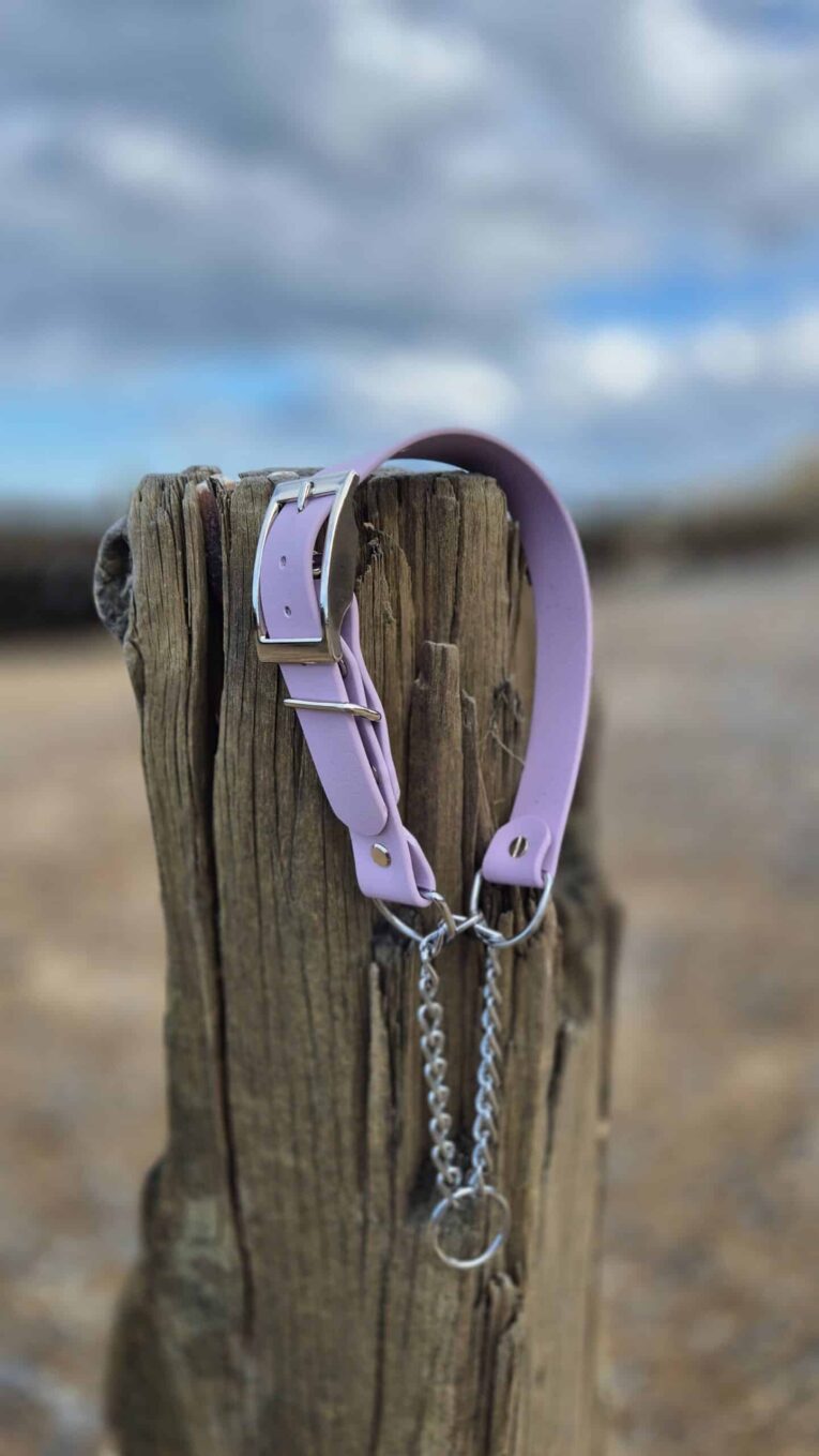 Lavender BioThane half check collar with metal hardware, draped over weathered wooden post by beach.