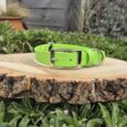 Bright lime green BioThane hunting dog collar with silver buckle, displayed on wooden log in garden setting.