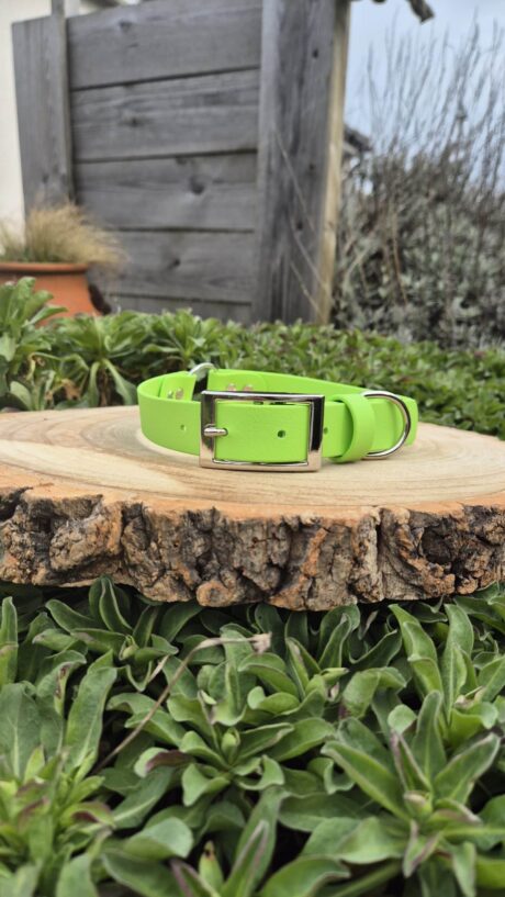 Bright lime green BioThane hunting dog collar with silver buckle, displayed on wooden log in garden setting.