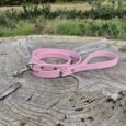 Pink BioThane dog lead coiled on weathered wood with countryside landscape backdrop