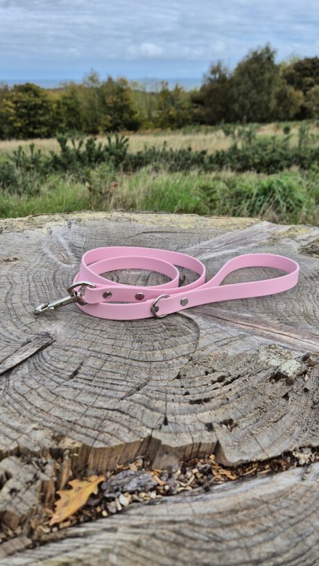 Custom Single Colour 1.2m Lead