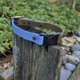biothane quick snap collar