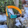 biothane remote training strap