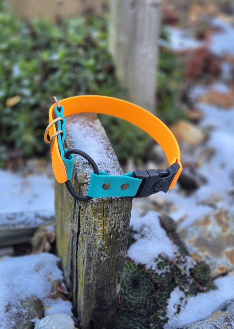 biothane remote training strap