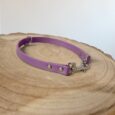 Purple BioThane slip and clip collar with metal hardware displayed on natural wood.