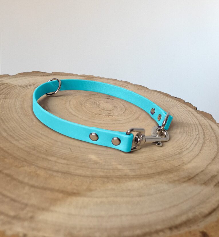 Bright turquoise BioThane slip collar with metal D-ring and clasp, displayed on natural wood.