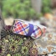 Handmade BioThane tartan dog collar in purple, red and blue, displayed on succulents outdoors.
