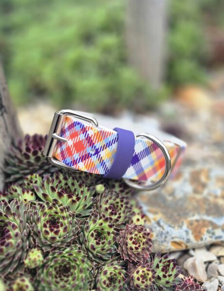 Extra Wide Full Print Collar
