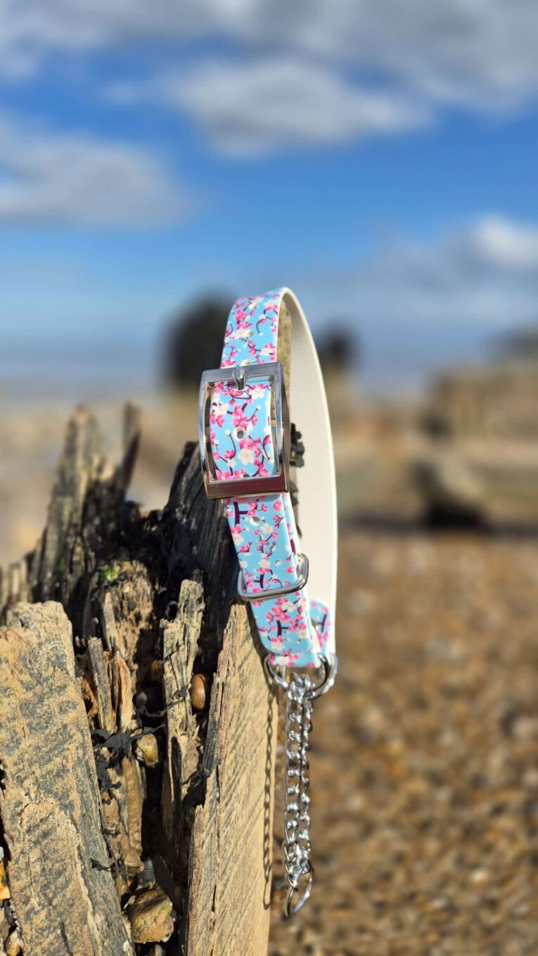 Blue floral printed BioThane dog collar with silver hardware, displayed on weathered wood outdoors.