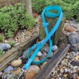 Bright blue handsfree lead wrapped around wooden post in garden setting with pebbles and plants visible.