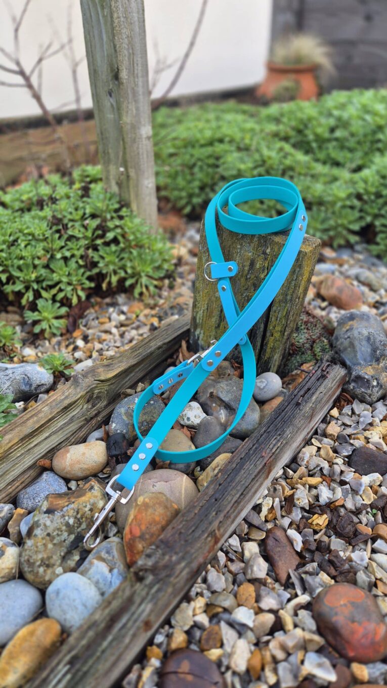Bright blue handsfree lead wrapped around wooden post in garden setting with pebbles and plants visible.