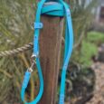 Bright turquoise handsfree lead with metal fittings, wrapped around wooden post in garden setting.