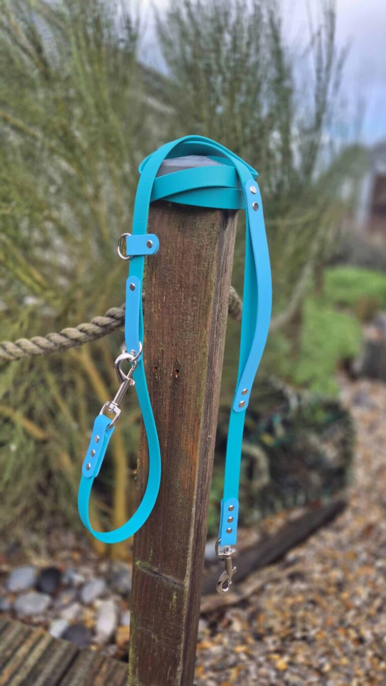 Bright turquoise handsfree lead with metal fittings, wrapped around wooden post in garden setting.