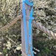 Blue polka dot handmade BioThane dog lead with metal fittings, displayed on wooden post against white flowering shrubs.