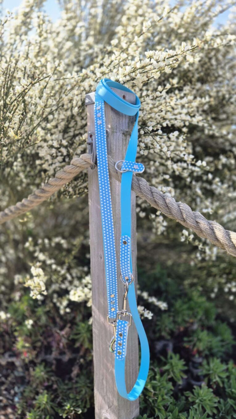 Blue polka dot handmade BioThane dog lead with metal fittings, displayed on wooden post against white flowering shrubs.