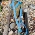 Blue polka dot dog lead with white clasp and D-ring attachment on weathered wood and pebbles.
