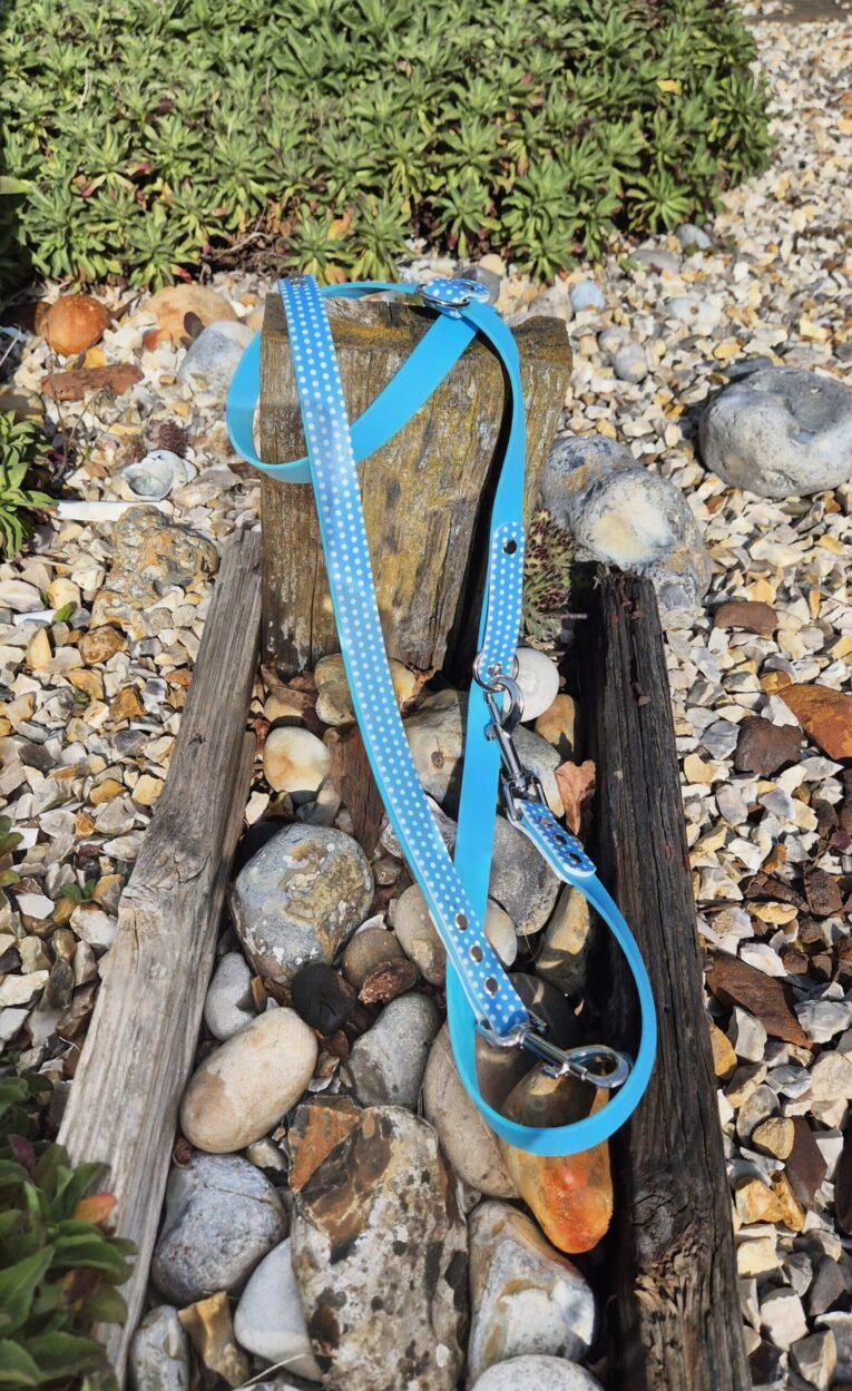 Blue polka dot dog lead with white clasp and D-ring attachment on weathered wood and pebbles.