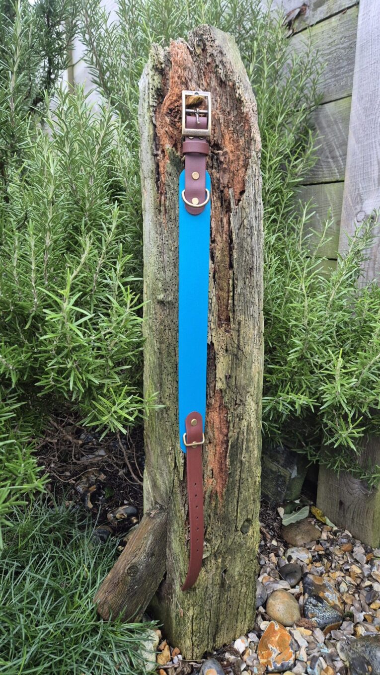 Blue tapered handmade BioThane dog collar with brown hardware, displayed on weathered wood post surrounded by greenery.