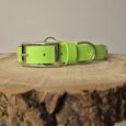 Bright lime green handmade BioThane gundog collar with nickel hardware, displayed on wooden surface.