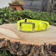 Bright yellow handmade BioThane gundog collar with chrome buckle, displayed on wooden surface in garden setting.