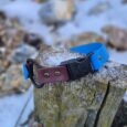 Handmade BioThane dog collar in blue and burgundy with black hardware, displayed on weathered wood.