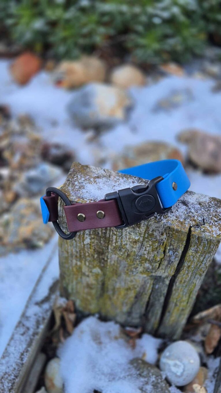 Handmade BioThane dog collar in blue and burgundy with black hardware, displayed on weathered wood.