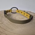 Handmade BioThane bungee collar for Mini Educator in cream and yellow with black hardware, displayed on wooden surface.