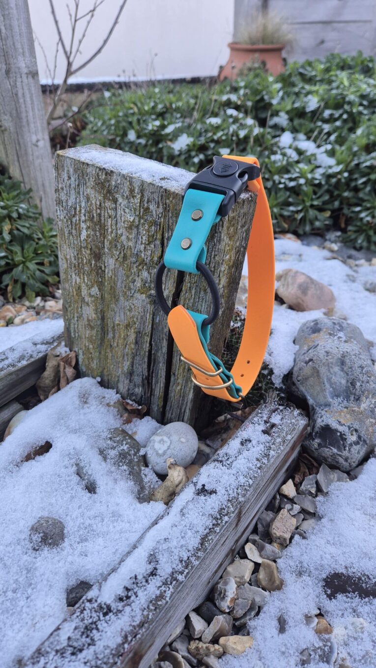 Bright orange and turquoise BioThane dog collar with bungee strap attachment, displayed on weathered wood in snowy garden setting.