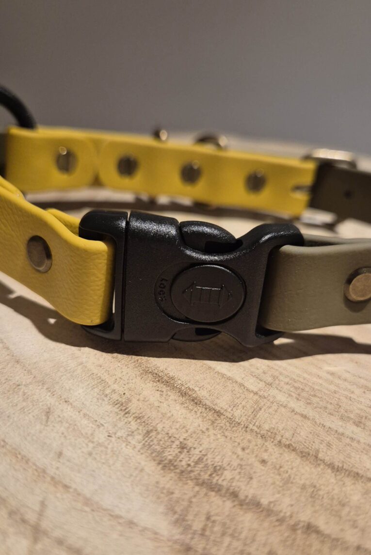 Close-up of a black plastic buckle fastening a yellow BioThane dog collar strap with metal rivets.