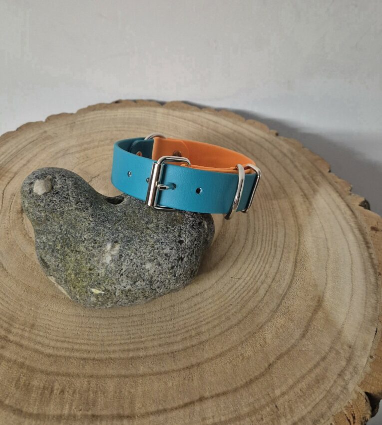 Bright blue and orange centre ring dog collar with silver hardware, displayed on natural wood with stone.
