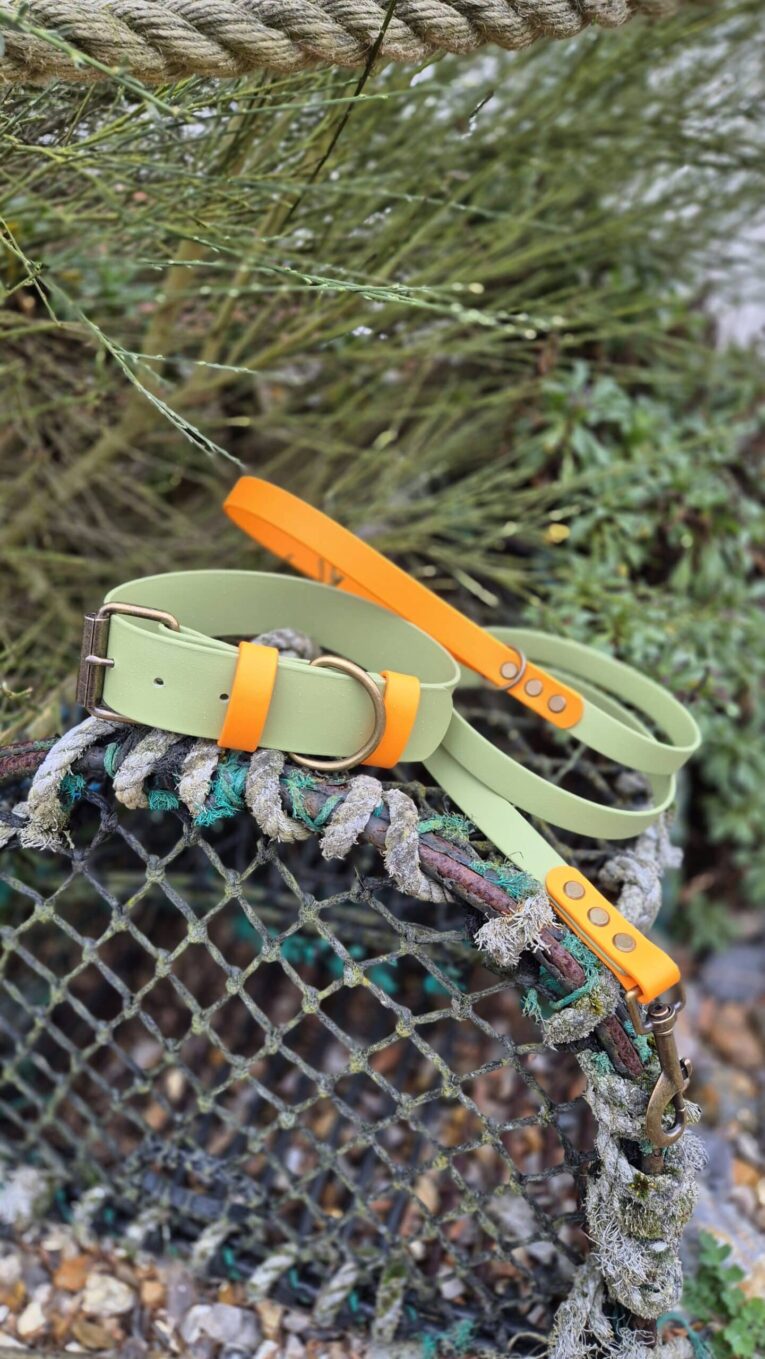 Sage green handmade BioThane dog collar and lead set with bright orange accents and brass hardware, displayed on weathered rope.