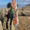 Colourful handmade BioThane dinosaur dog collar with printed design, displayed on weathered wood outdoors.