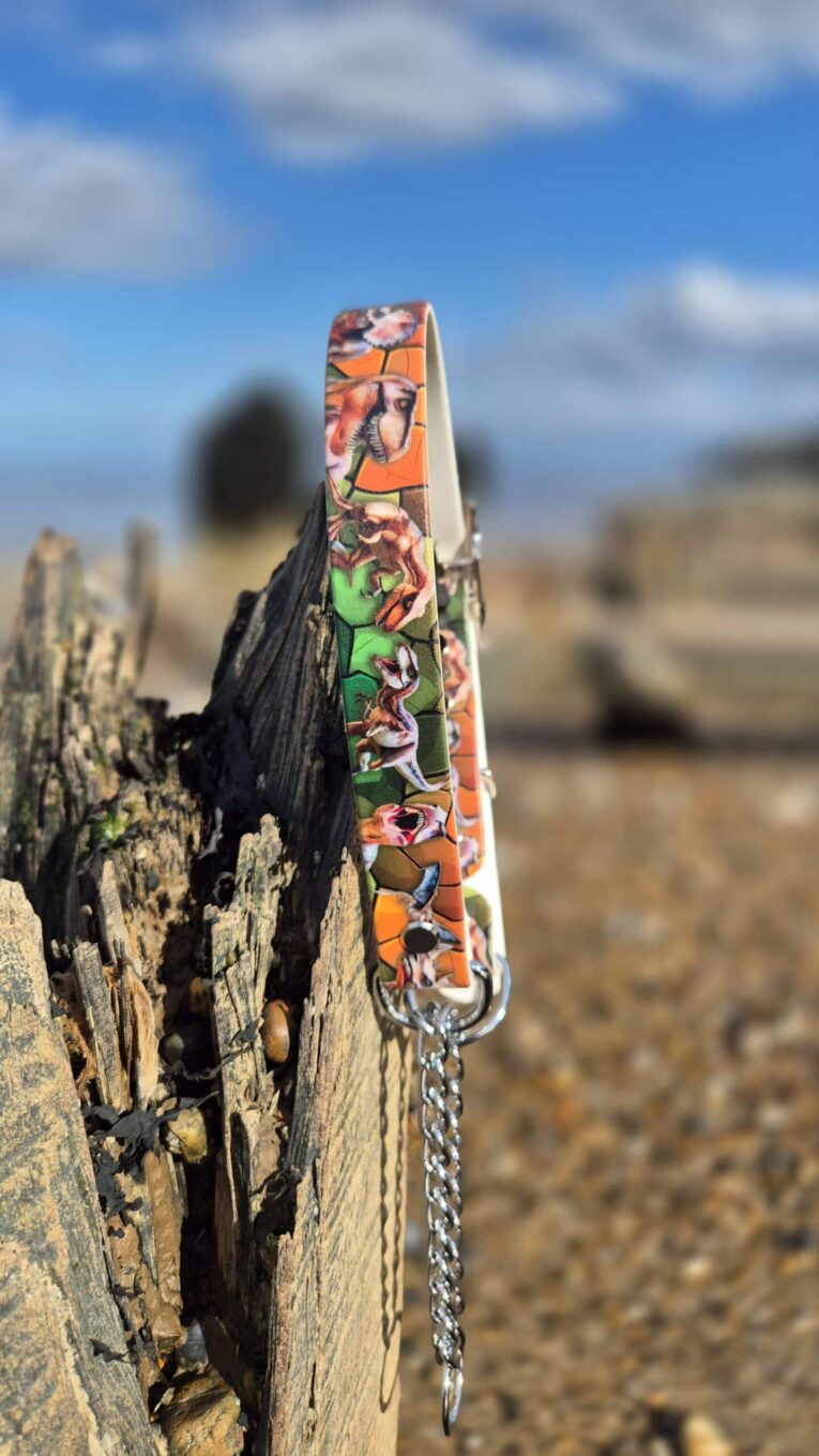 Colourful handmade BioThane dinosaur dog collar with printed design, displayed on weathered wood outdoors.