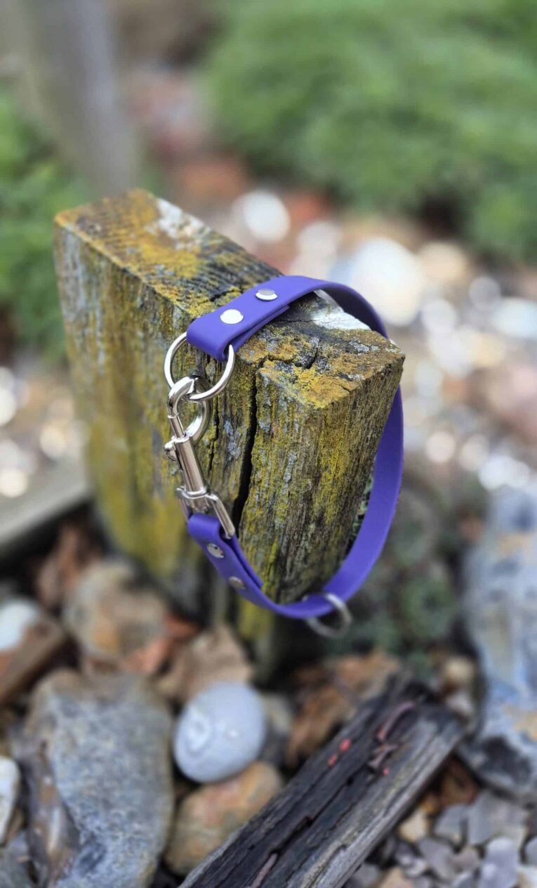 Bright purple BioThane dog slip collar with silver chain and hardware, displayed on weathered wood.