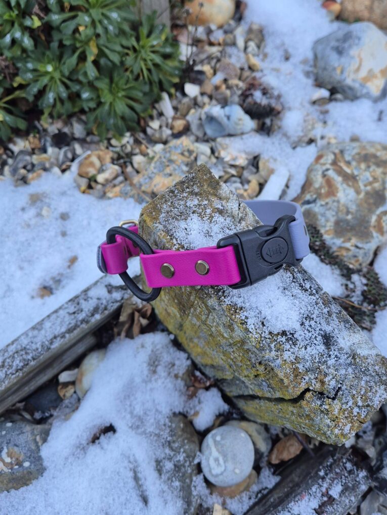 Bright fuchsia BioThane dog collar with black hardware, draped across a lichen-covered stone.