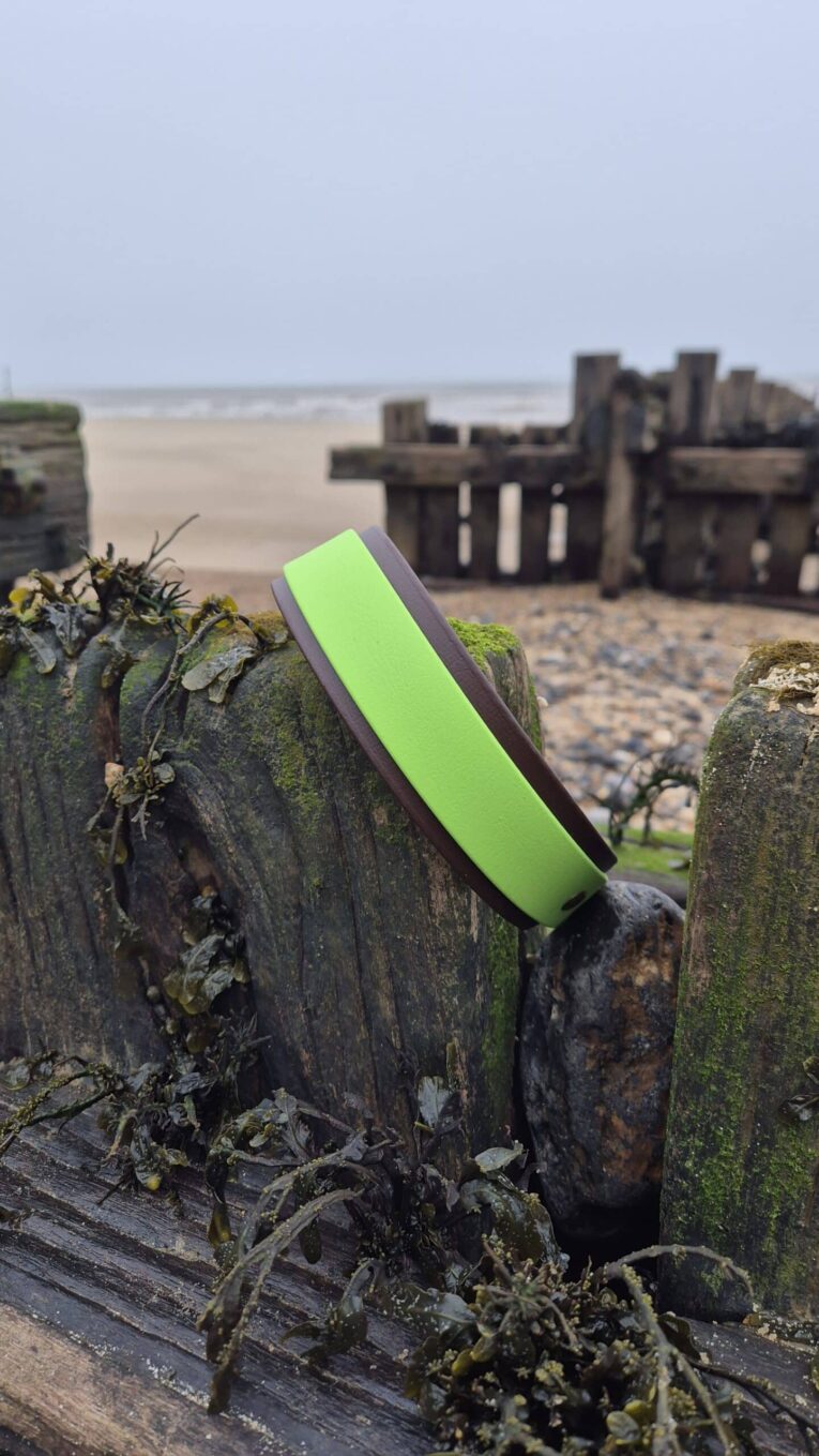Bright lime-green double-layered dog collar displayed on weathered wooden post by beach with historic pier ruins blurred behind.