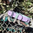 Lavender and mint double layered hound collar displayed on weathered rope with white flowers overhead.