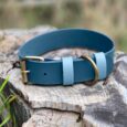 Teal BioThane dog collar with light blue webbing and brass hardware, displayed on weathered wood.