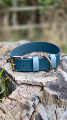 Custom Extra Wide Collar