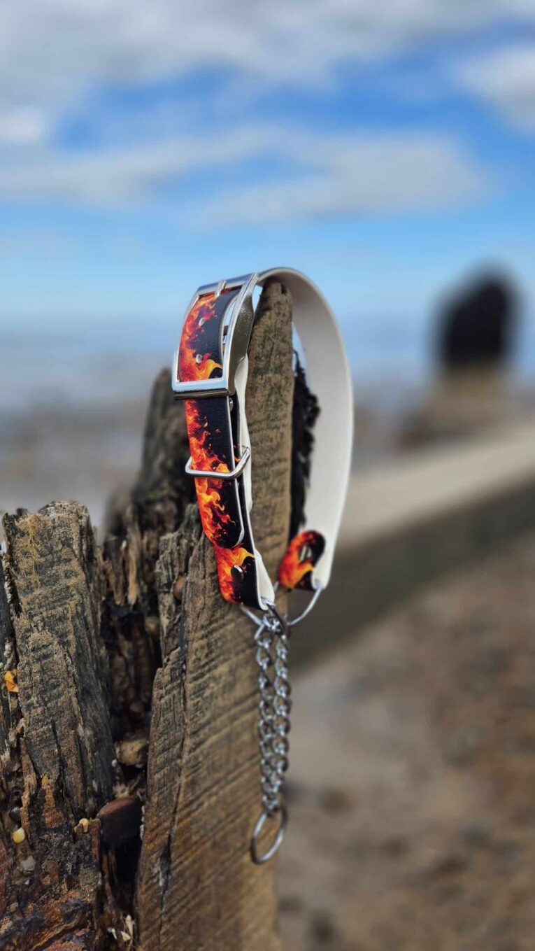 Handmade BioThane dog collar with vibrant red and orange fire print design, displayed on weathered wooden post by sea.